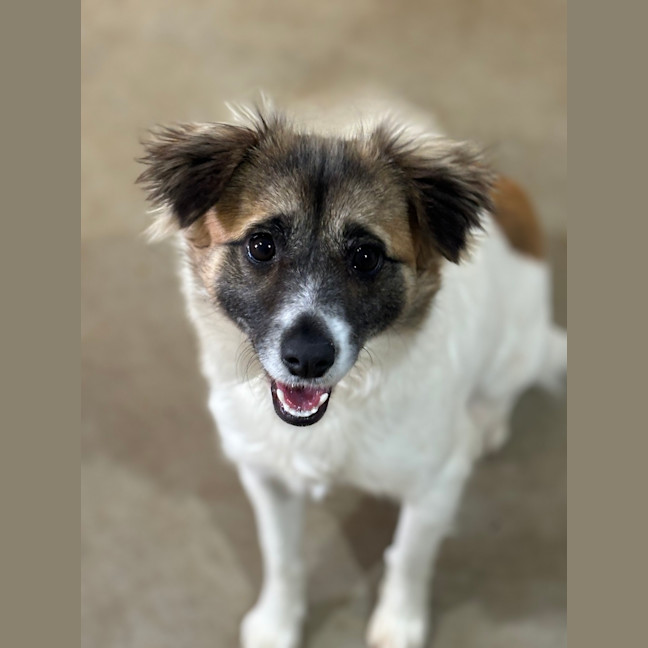 Photo of Nellie