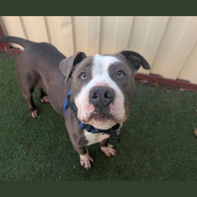 Photo of Zeus