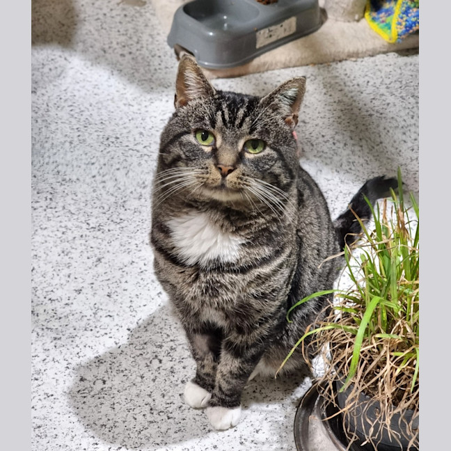 Photo of Boots