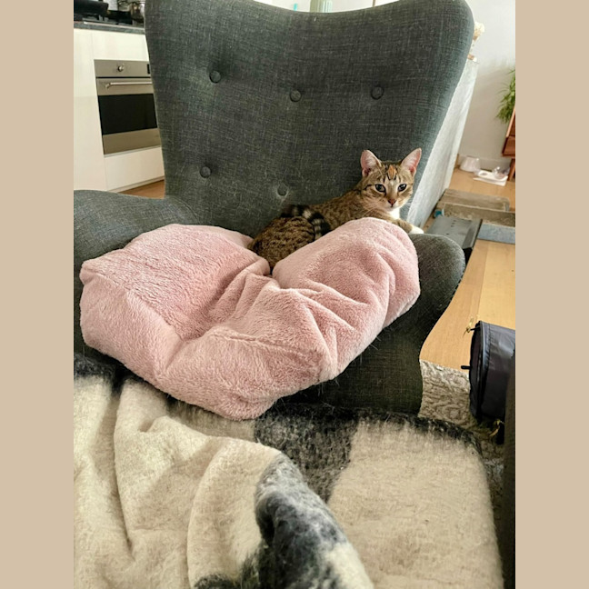 Photo of Chloe