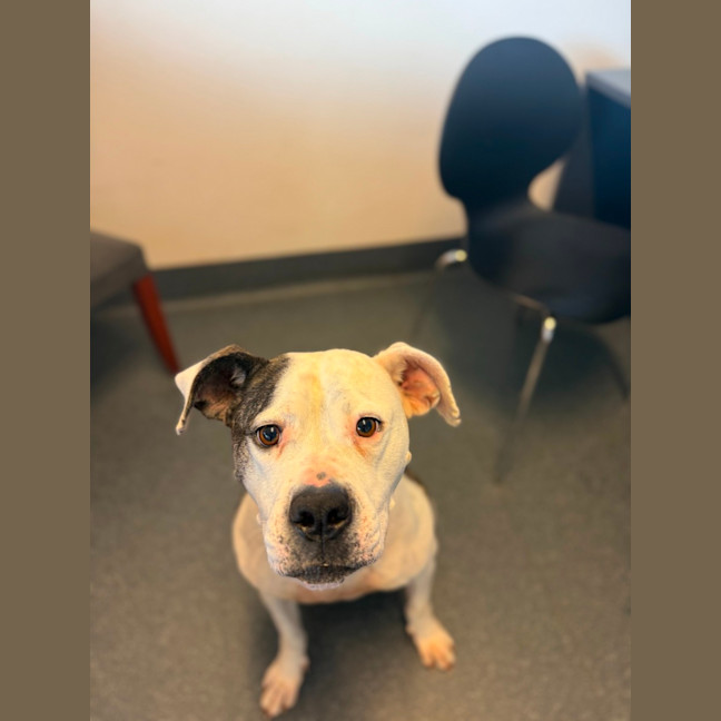 Photo of Betty