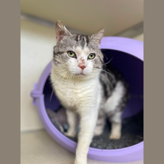 Photo of 🪁 Wally 5563 🪁