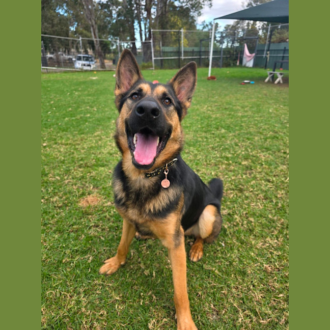 Photo of Loki