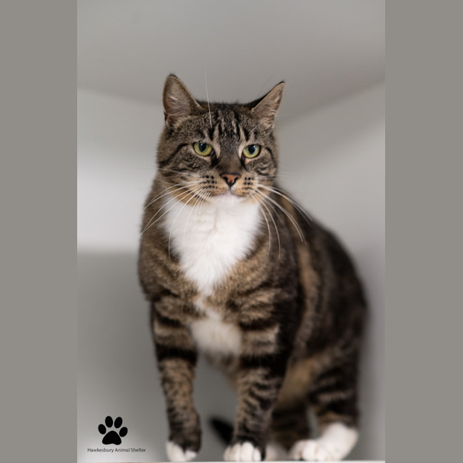 Photo of Laverne