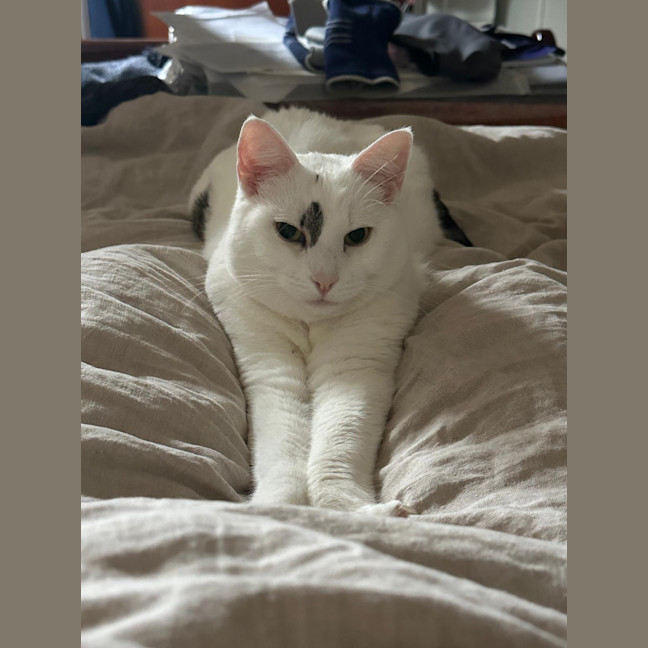 Photo of Anya