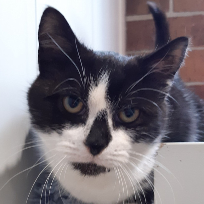 Photo of Billy