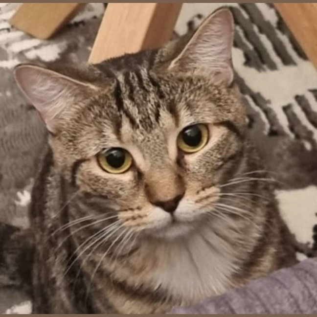 Photo of Lily