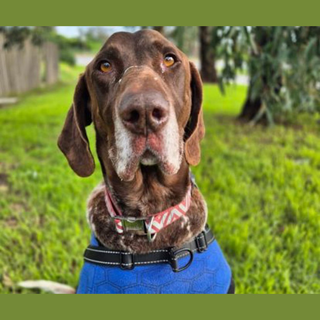Photo of Hunter