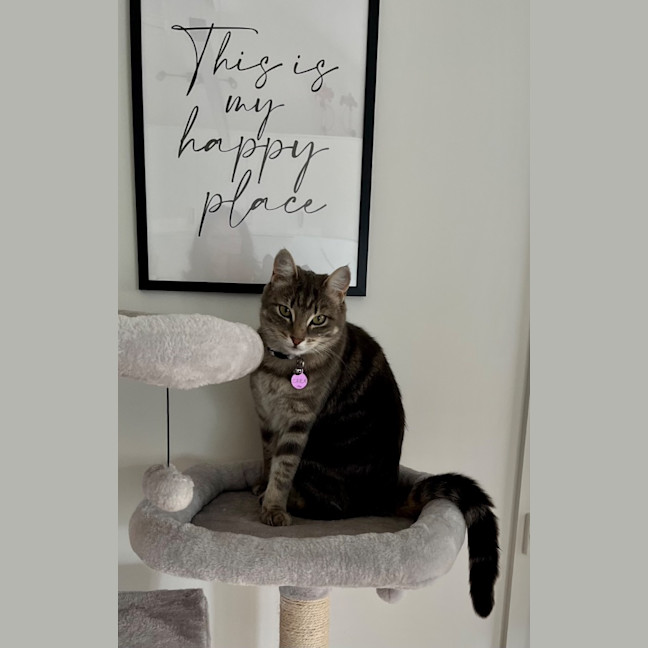 Photo of Lexi & Cara