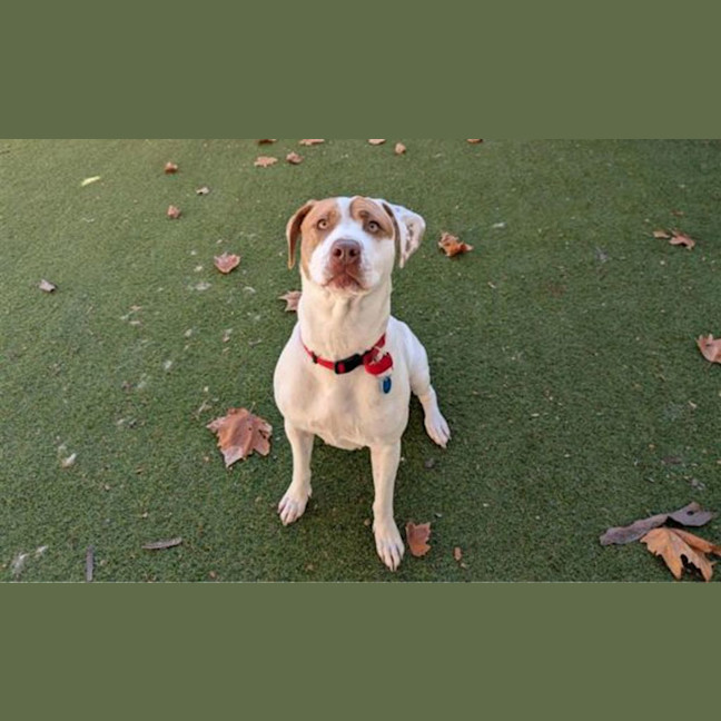Photo of Polly