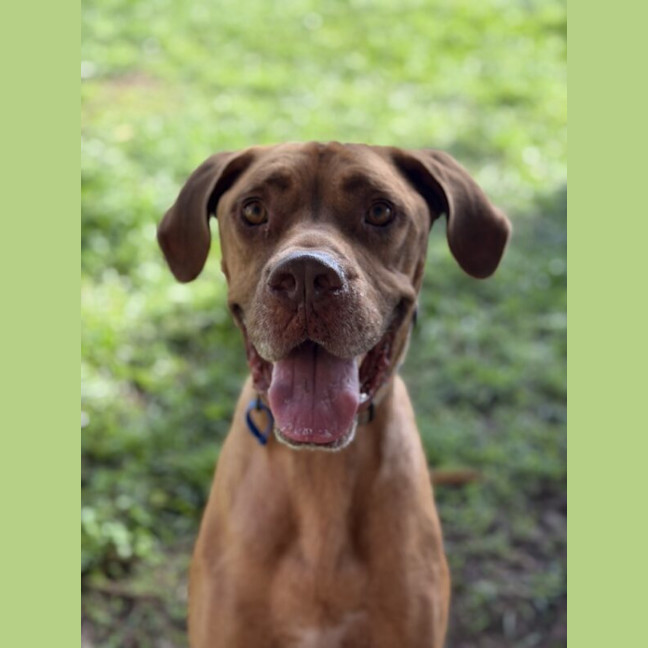 Photo of Peanut