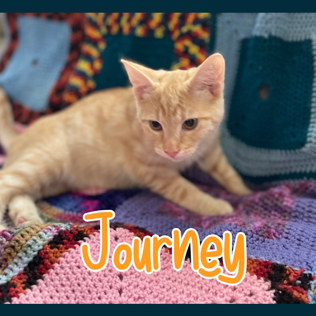 Photo of Journey 