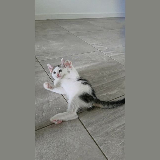 Photo of Chika