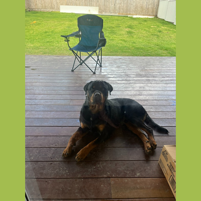 Photo of Duke