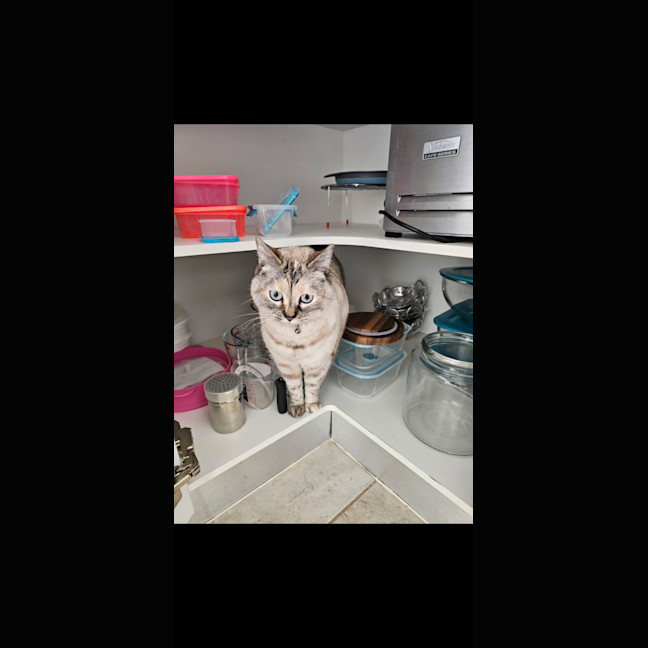 Photo of Matilda ( Tilly ) 