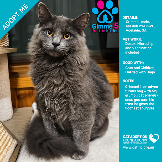 Photo of Grimmel