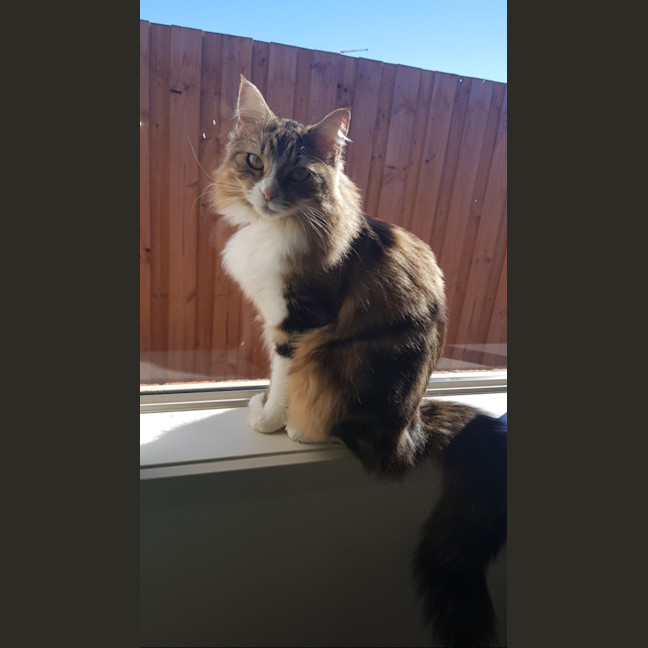 Photo of Princess Wynter