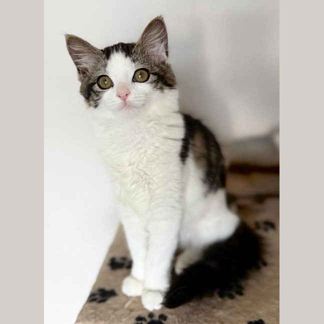 Photo of 🧚Elfina🧚‍♂️