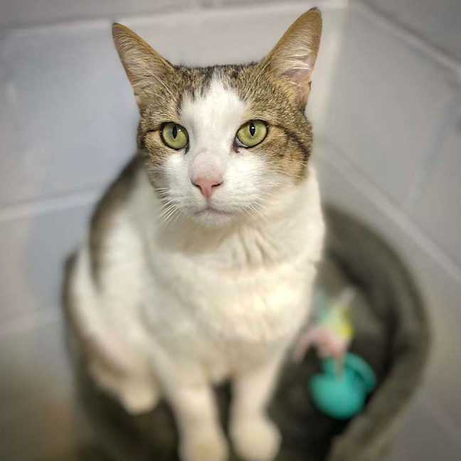 Photo of Mable