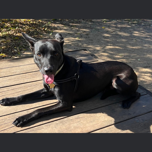 Photo of Lenny