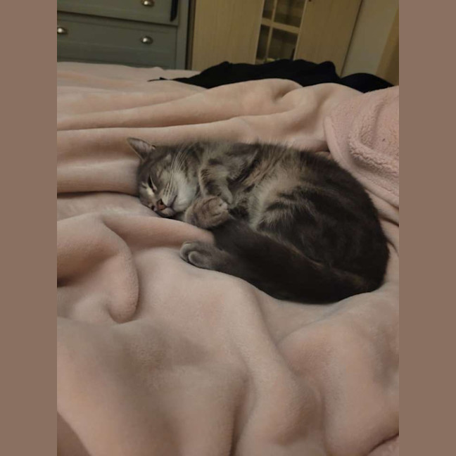 Photo of Tommy