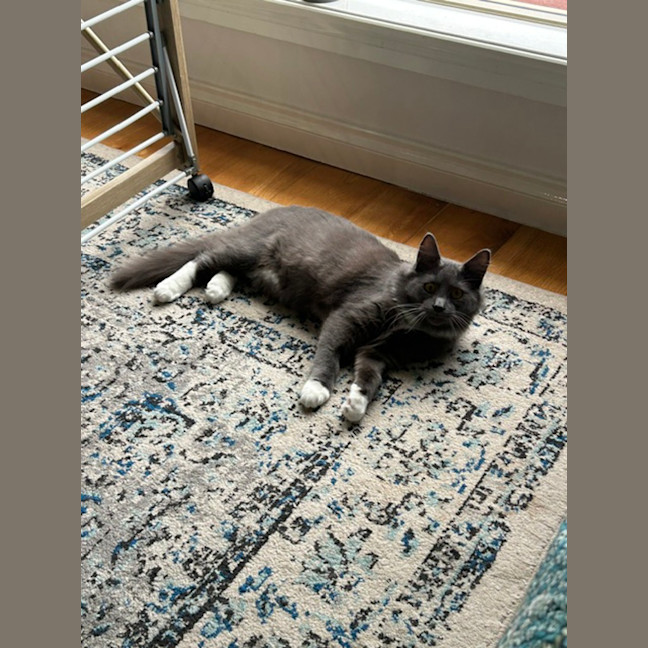 Photo of Leroy