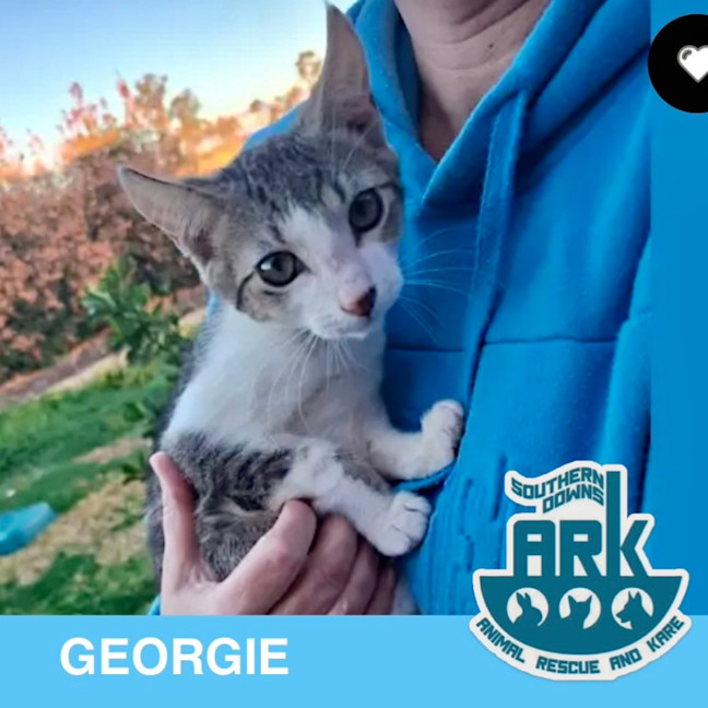 Photo of Georgie