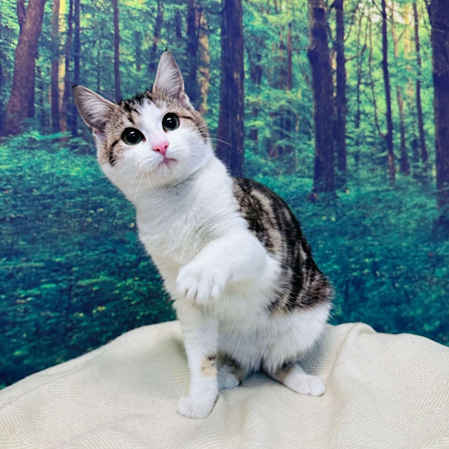 Photo of Garry   Located In Preston