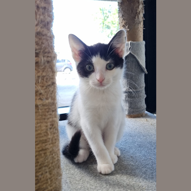 Photo of Esmeralda Joy