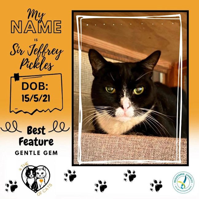 Photo of Sir Jeffrey Pickles 