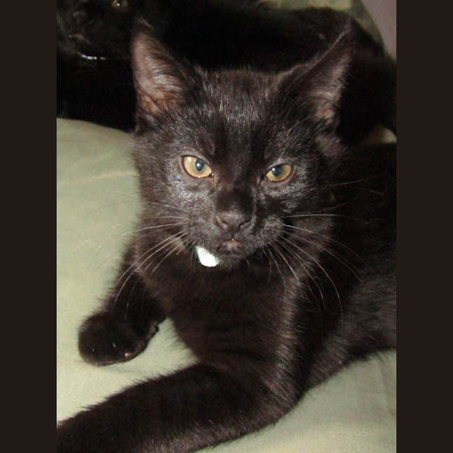Photo of Truffle 