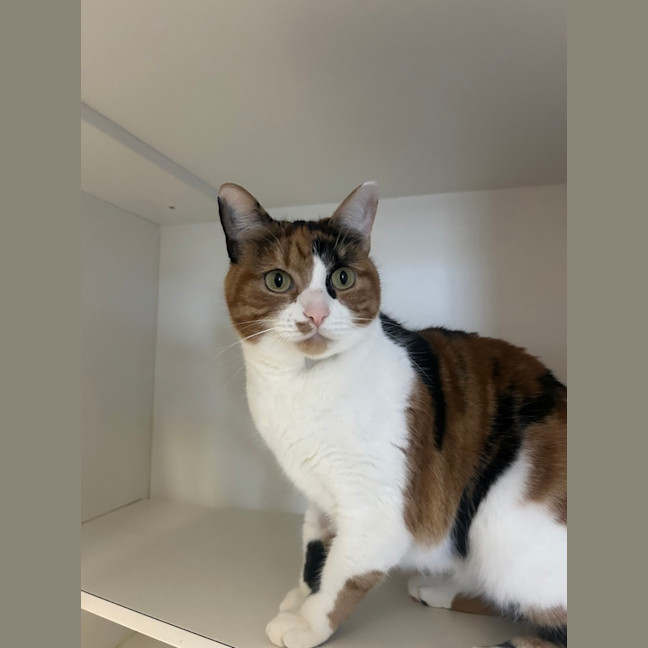 Photo of Hazel