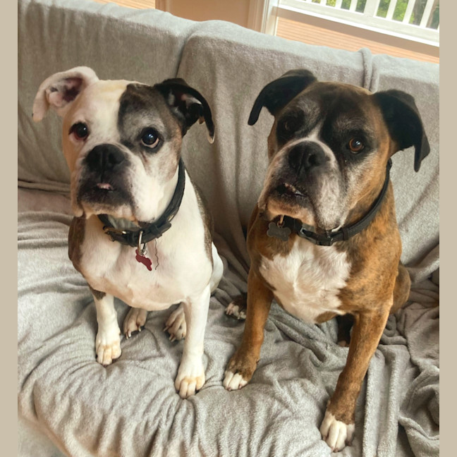 Photo of Leo And Harley