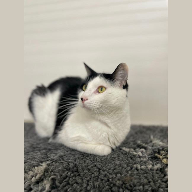 Photo of 🎠 Clancy 5624 🎠