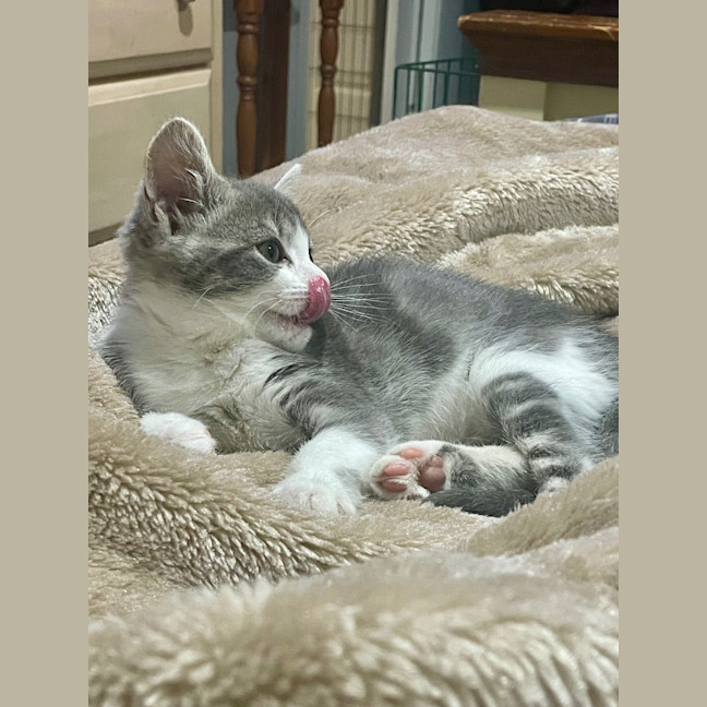 Photo of Minnie Mimi
