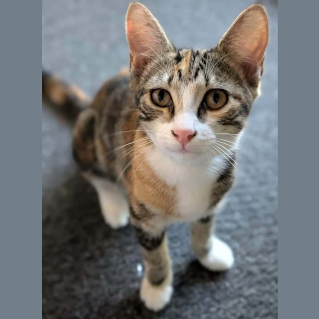 Photo of Madeline