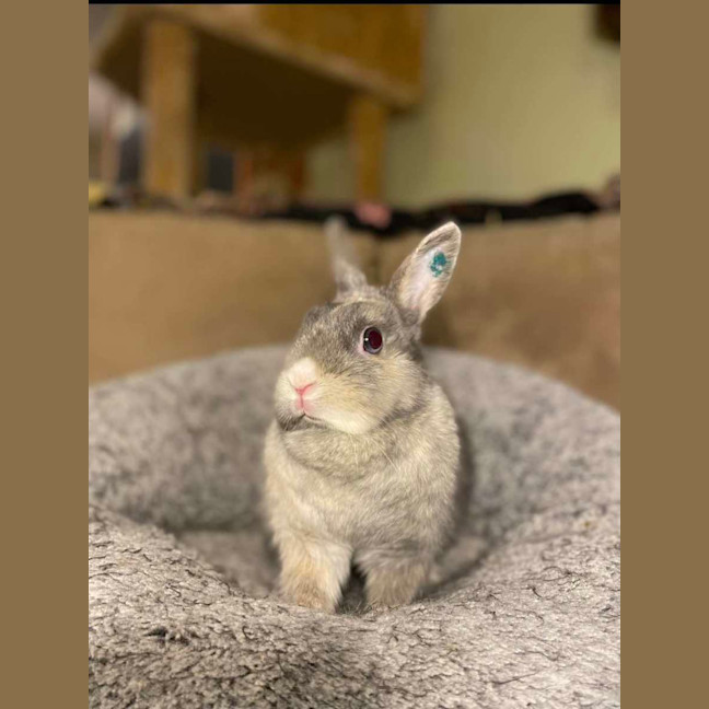 Photo of Lena & Dragonfruit