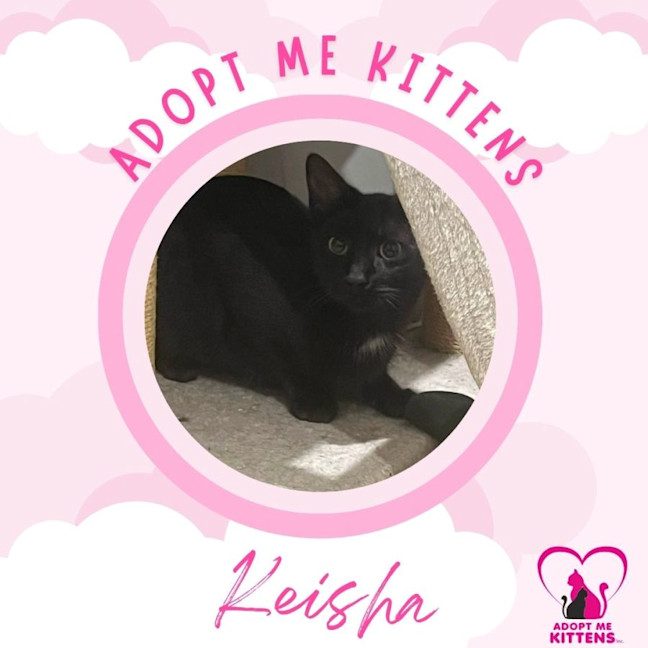 Photo of Keisha 2