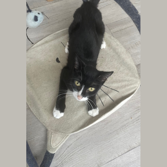 Photo of Carol (8905)