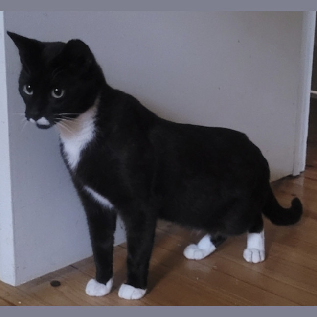 Photo of Moe