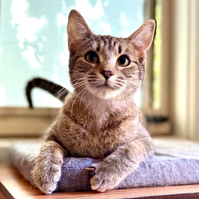 Photo of Melody   In Foster Care In Templestowe