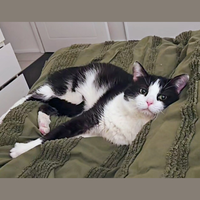 Photo of Billy