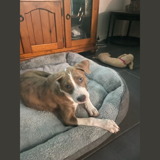 Photo of Molly