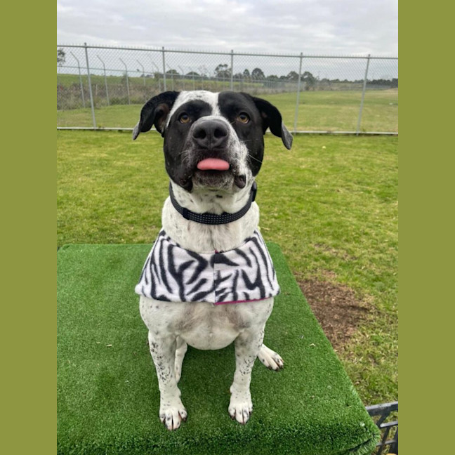 Photo of Jackie Chan