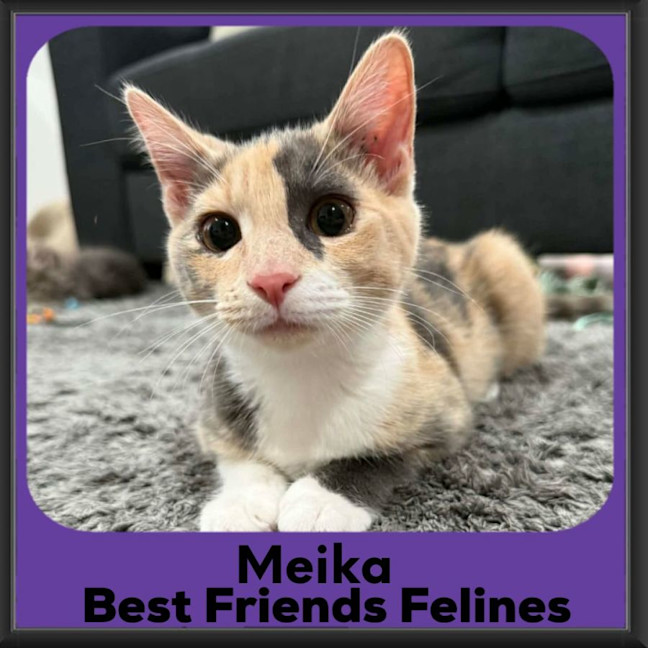 Photo of Meika 