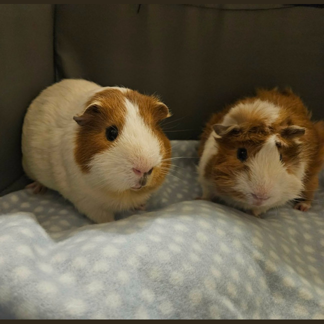 Photo of Milky & Lucky