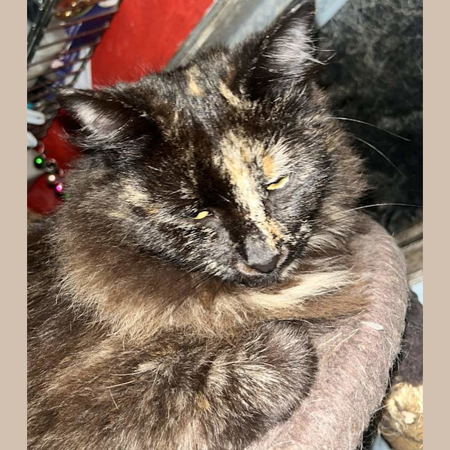 Photo of Runty