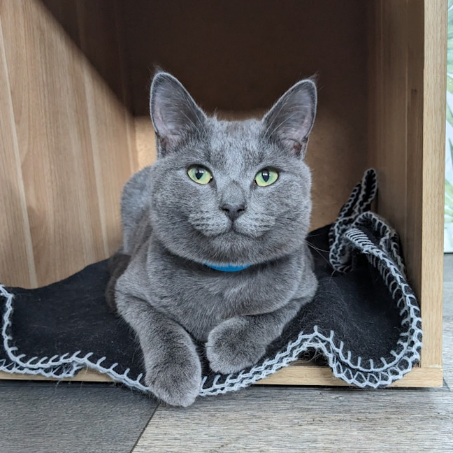 Photo of Travis   Located In Preston