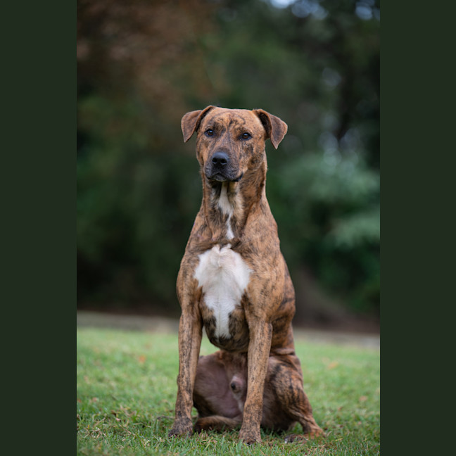 Photo of Remy
