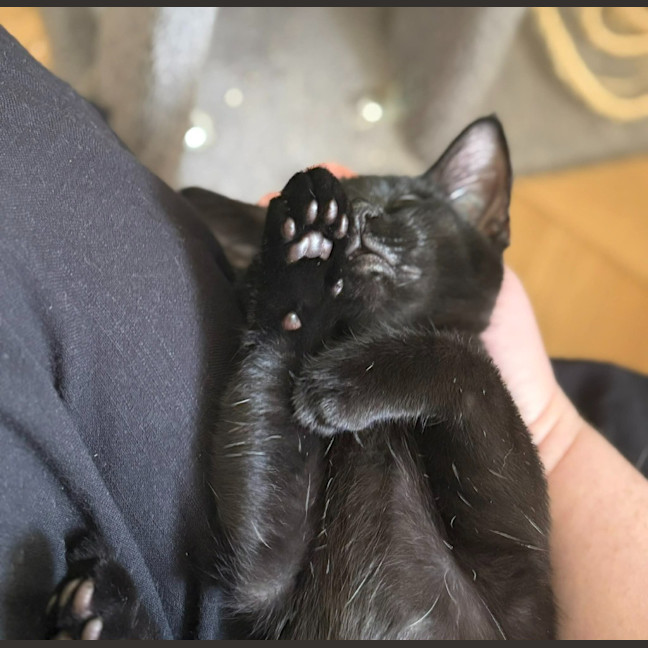 Photo of Zuzu